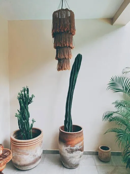Apartment Oasis In Hippest Part Of Tulum 0*,  Mexico