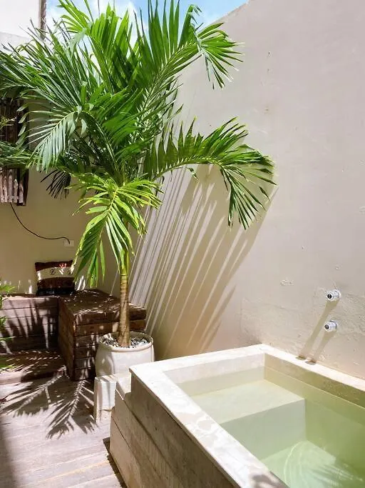 Apartment Oasis In Hippest Part Of Tulum