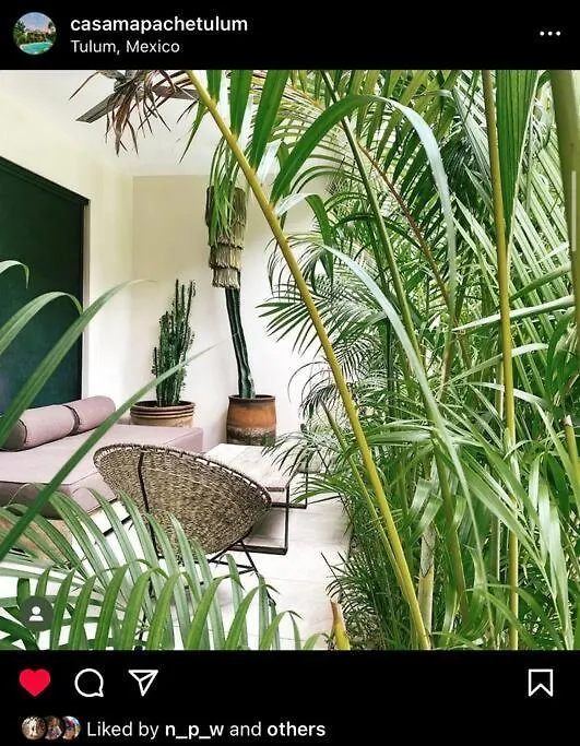 Apartment Oasis In Hippest Part Of Tulum
