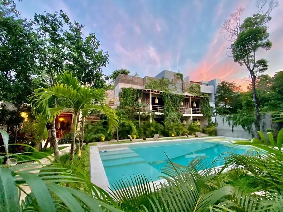 Apartment Oasis In Hippest Part Of Tulum 0*,