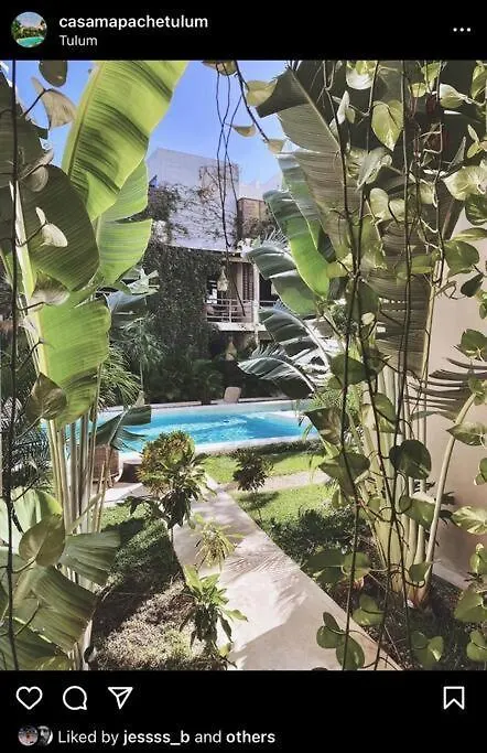 Apartment Oasis In Hippest Part Of Tulum Mexico